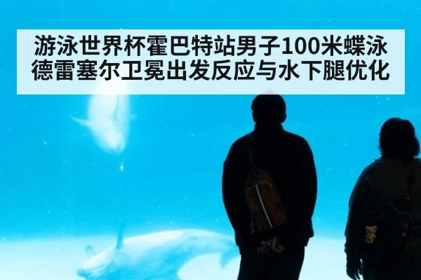 游泳世界杯霍巴特站男子100米蝶泳德雷塞尔卫冕出发反应与水下腿优化