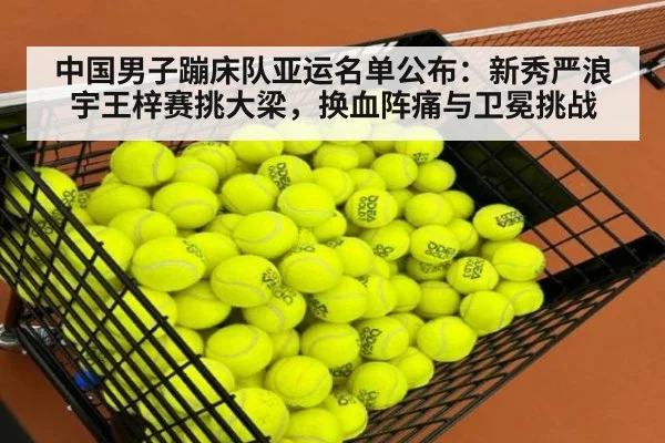 中国男子蹦床队亚运名单公布：新秀严浪宇王梓赛挑大梁，换血阵痛与卫冕挑战